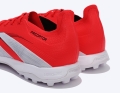 ID3798_5.jpg